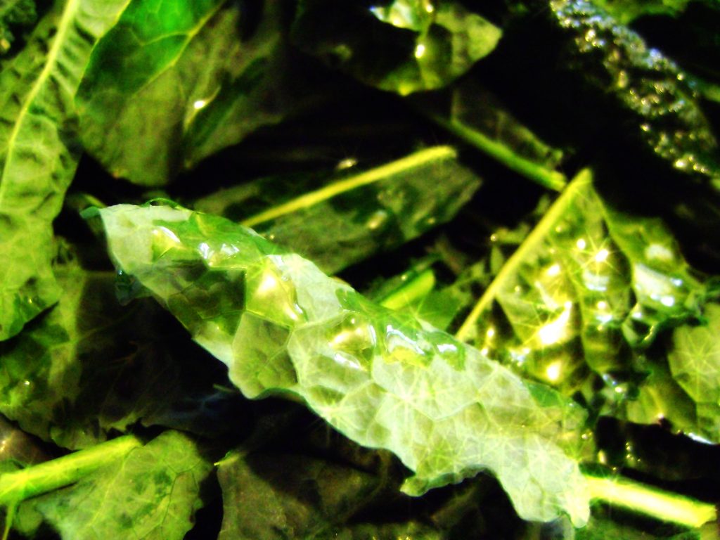 Rich in Nutrition and Flavor, Tuscan Kale Chips For the Summer!