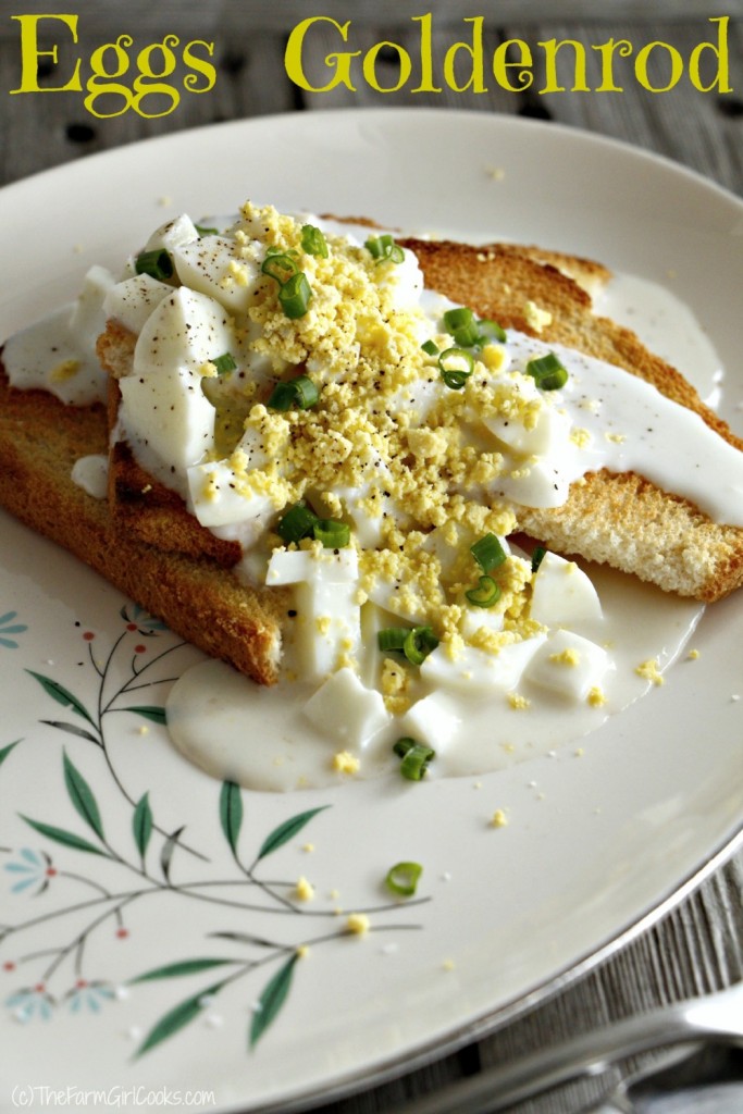 Back to Basics Eggs Goldenrod (Learn how to make a white sauce
