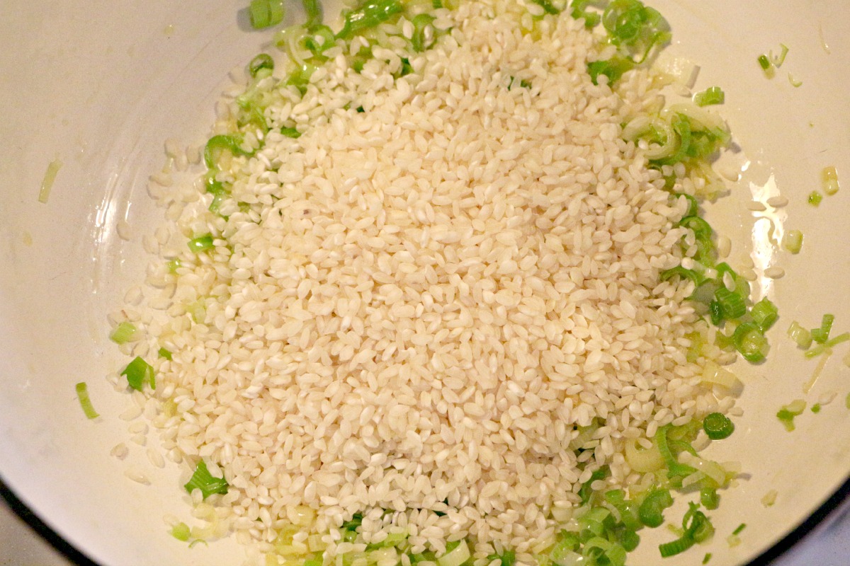 green garlic risotto 5