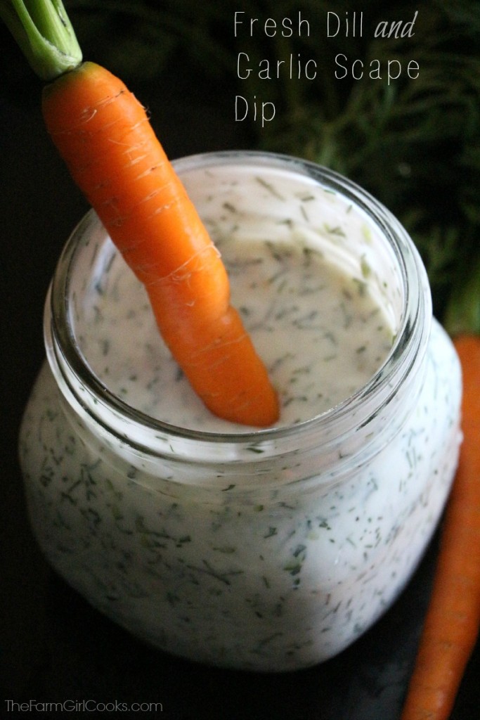 Dill and Garlic Scape Dip 01