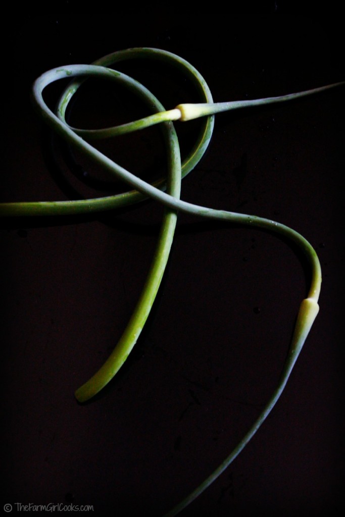 garlic scapes