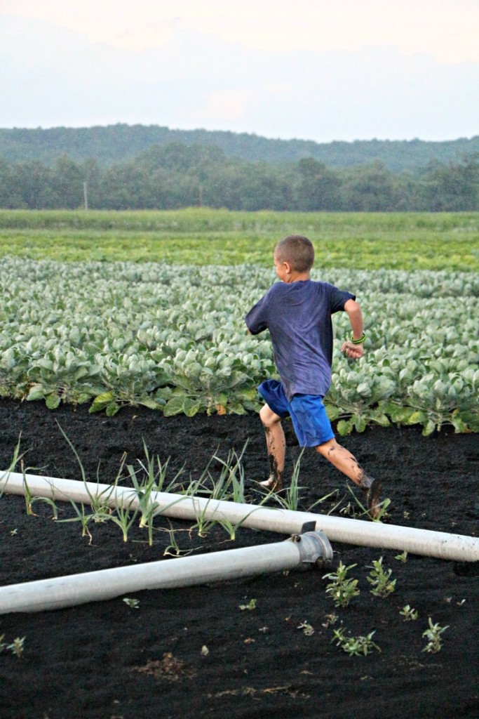 sprinkler run