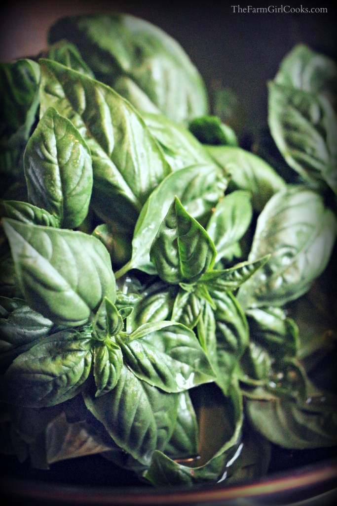 washing basil