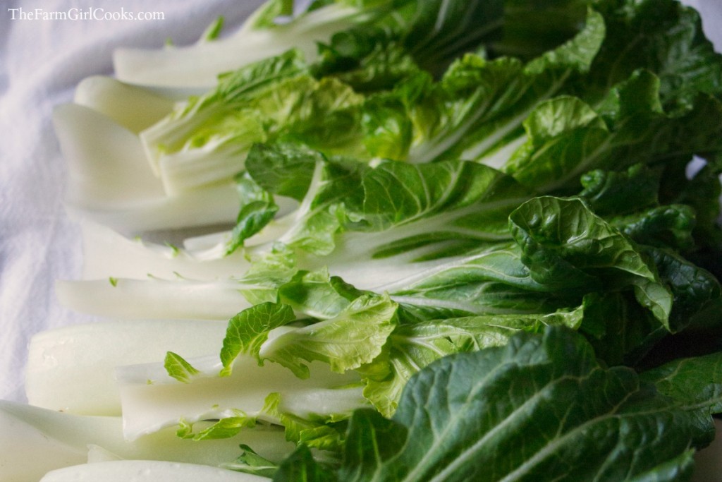 bokchoy_pnut_MG_8411-2